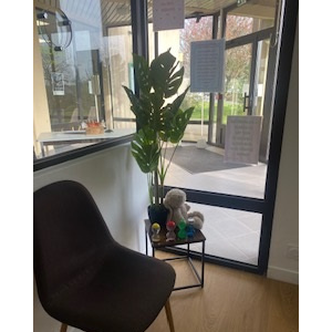La plante